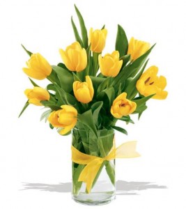 Bunga Tulip 02 Bunga Tulip 02