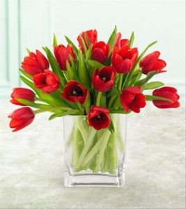 Bunga Tulip 04 Bunga Tulip 04