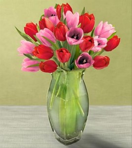 Bunga Tulip 07 Bunga Tulip 07